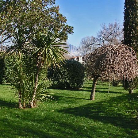 Macchia Home Marina Di Carrara Dış mekan fotoğraf