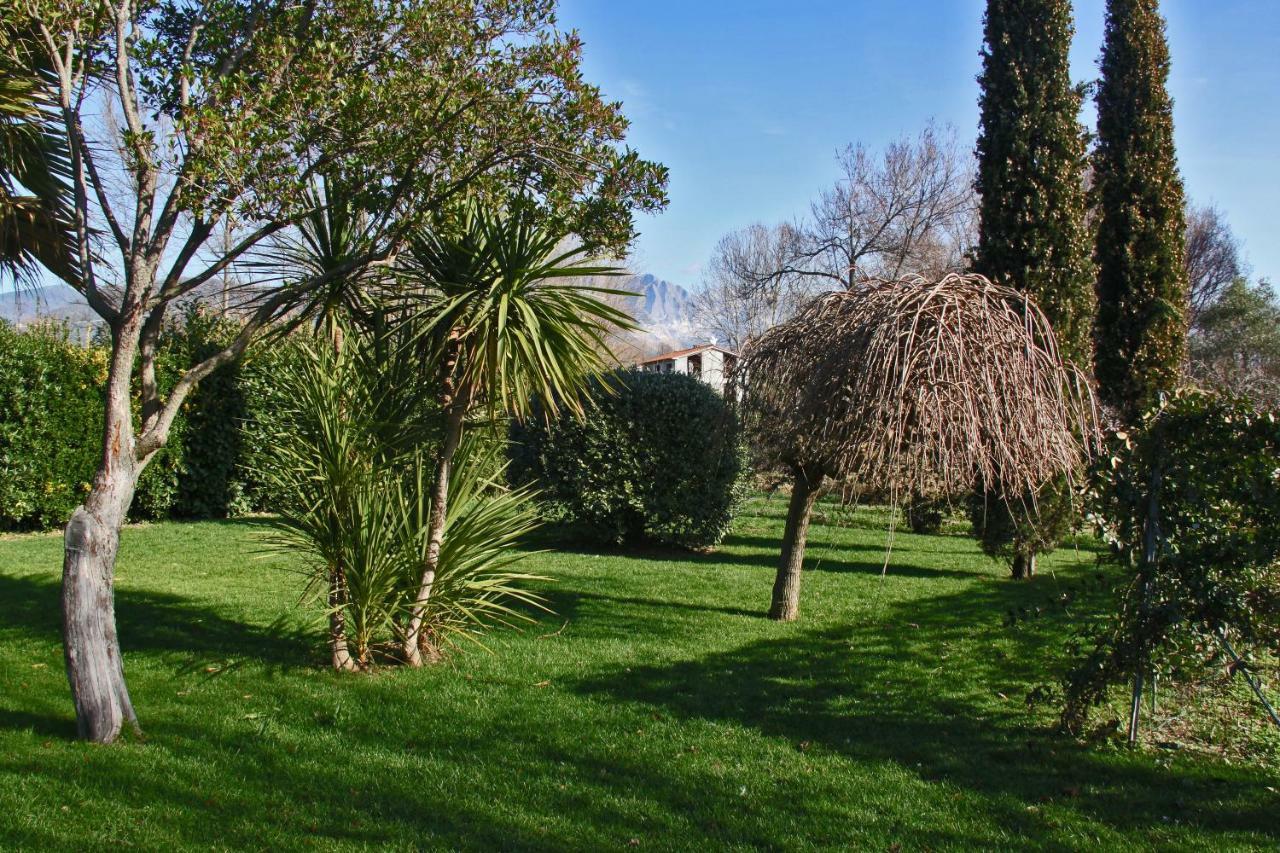 Macchia Home Marina Di Carrara Dış mekan fotoğraf
